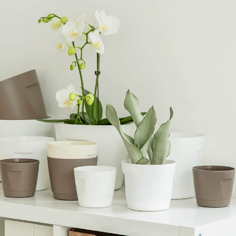 Potted plant molding